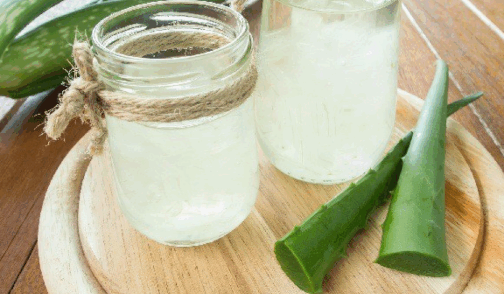 Aloe Vera gyógynövény