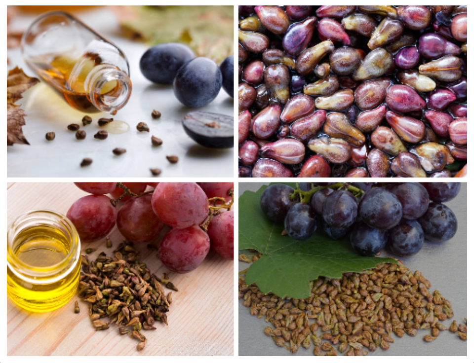 Csodálatos szőlőmag őrlemény: a sokoldalú szuperélelmiszer