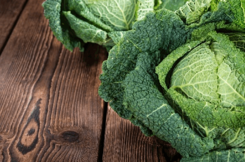 Fodros kel: hatékony méregtelenítő és béltisztító