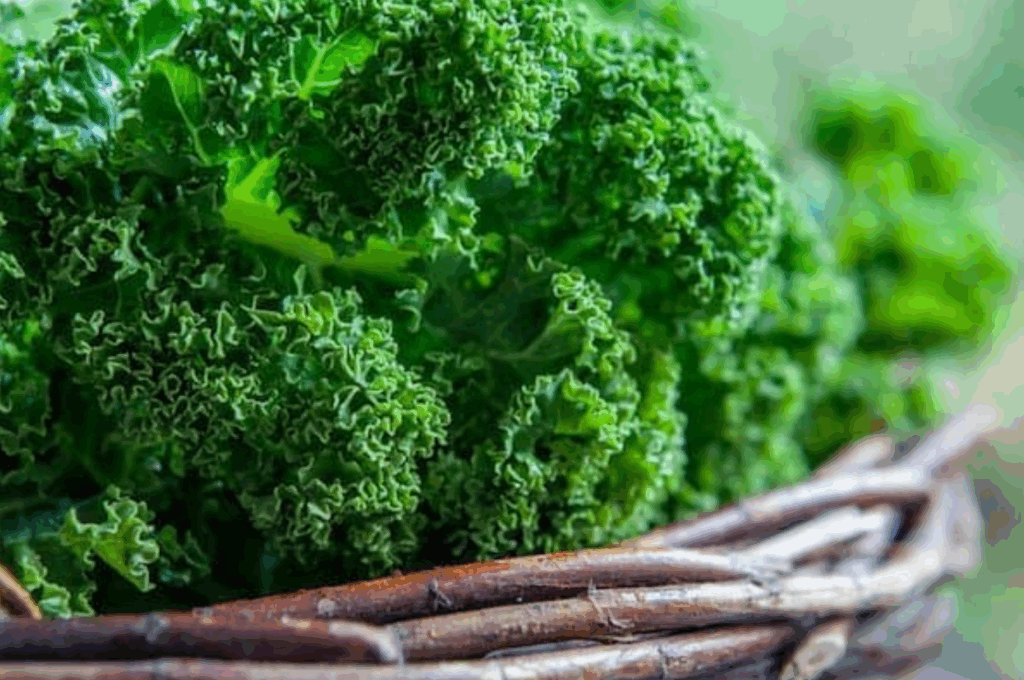 Fodros kel: az elérhető szuperélelmiszer