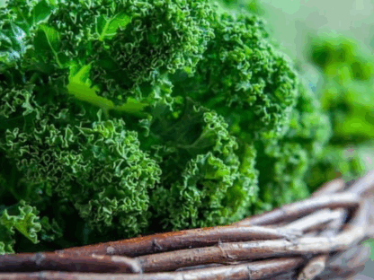 Fodros kel: az elérhető szuperélelmiszer