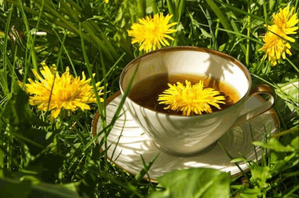 Gyermekláncfű: a virágzó szuperélelmiszer