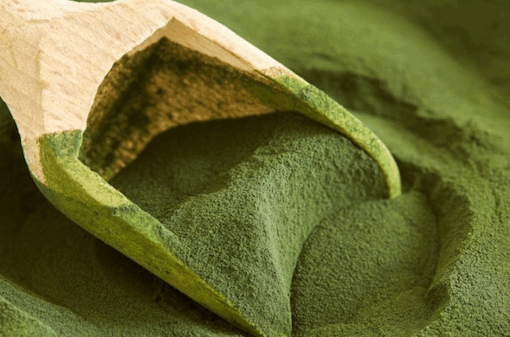 Miért tökéletes táplálék a chlorella alga