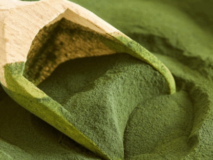 Miért tökéletes táplálék a chlorella alga