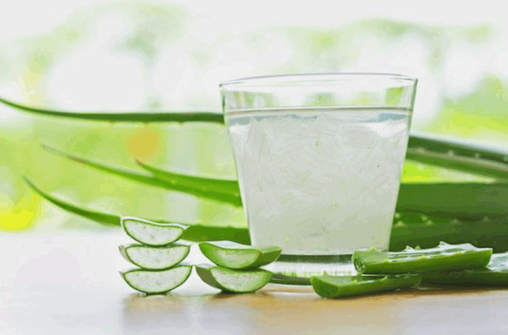 Aloe Vera ital – Legyen a mindennapok része!
