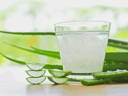 Aloe Vera ital – Legyen a mindennapok része!