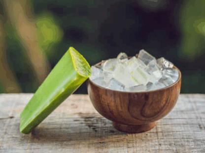 Az ezerarcú gyógynövény: így segít az Aloe vera