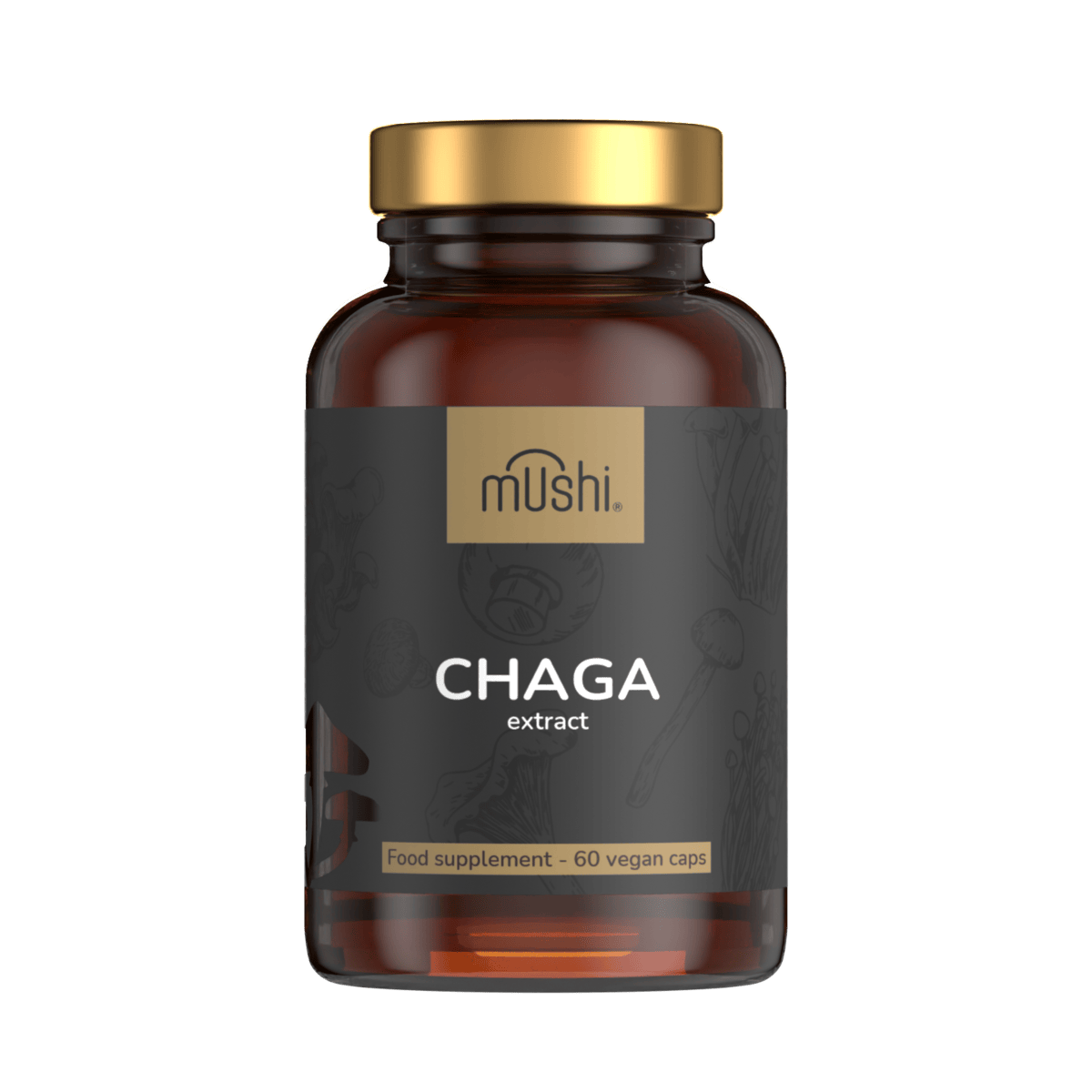chaga gomba kivonat