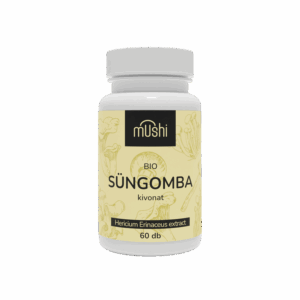 bio süngomba kivonat
