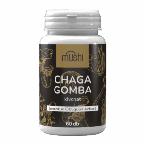 chaga gomba kivonat