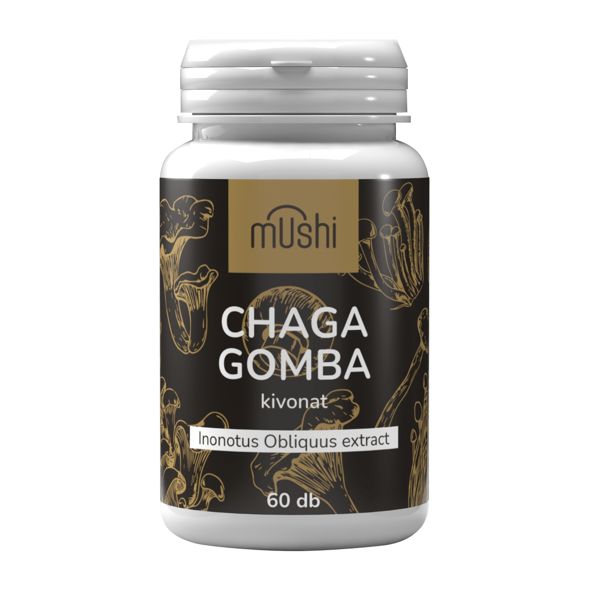 chaga gomba kivonat