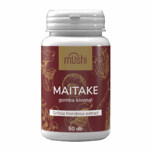 maitake kivonat