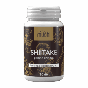 shiitake
