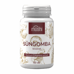 süngomba kivonat