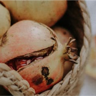 Antioxidánsok