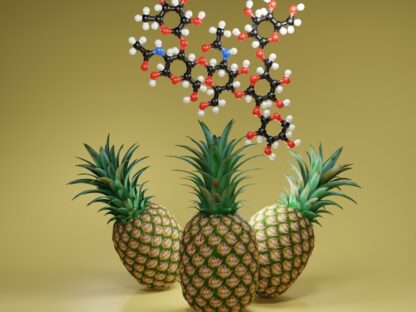 bromelain enzim
