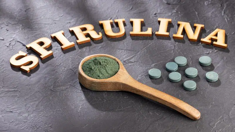 spirulina alga
