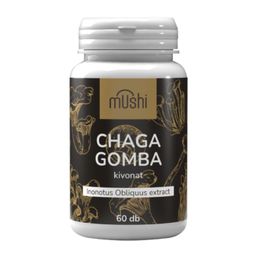 chaga gomba kivonat