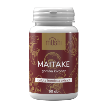 maitake kivonat